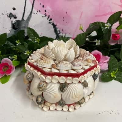 Gorgeous shell container 