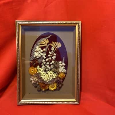 Vintage Western Australia Dried Wildflower Shadow Box Art 