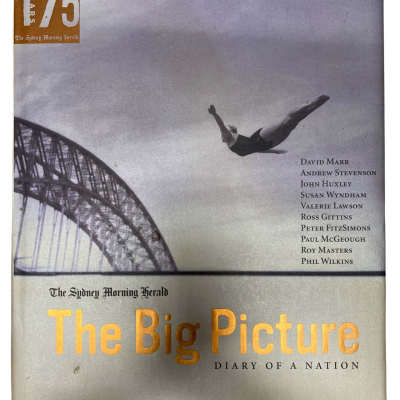 The Big Picture - Diary of a Nation