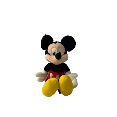 BNWT Disney Mickey mouse