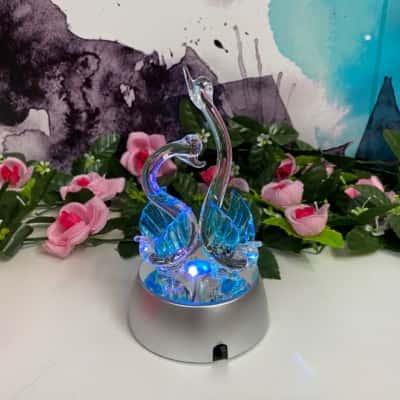 Light up gorgeous swans light New