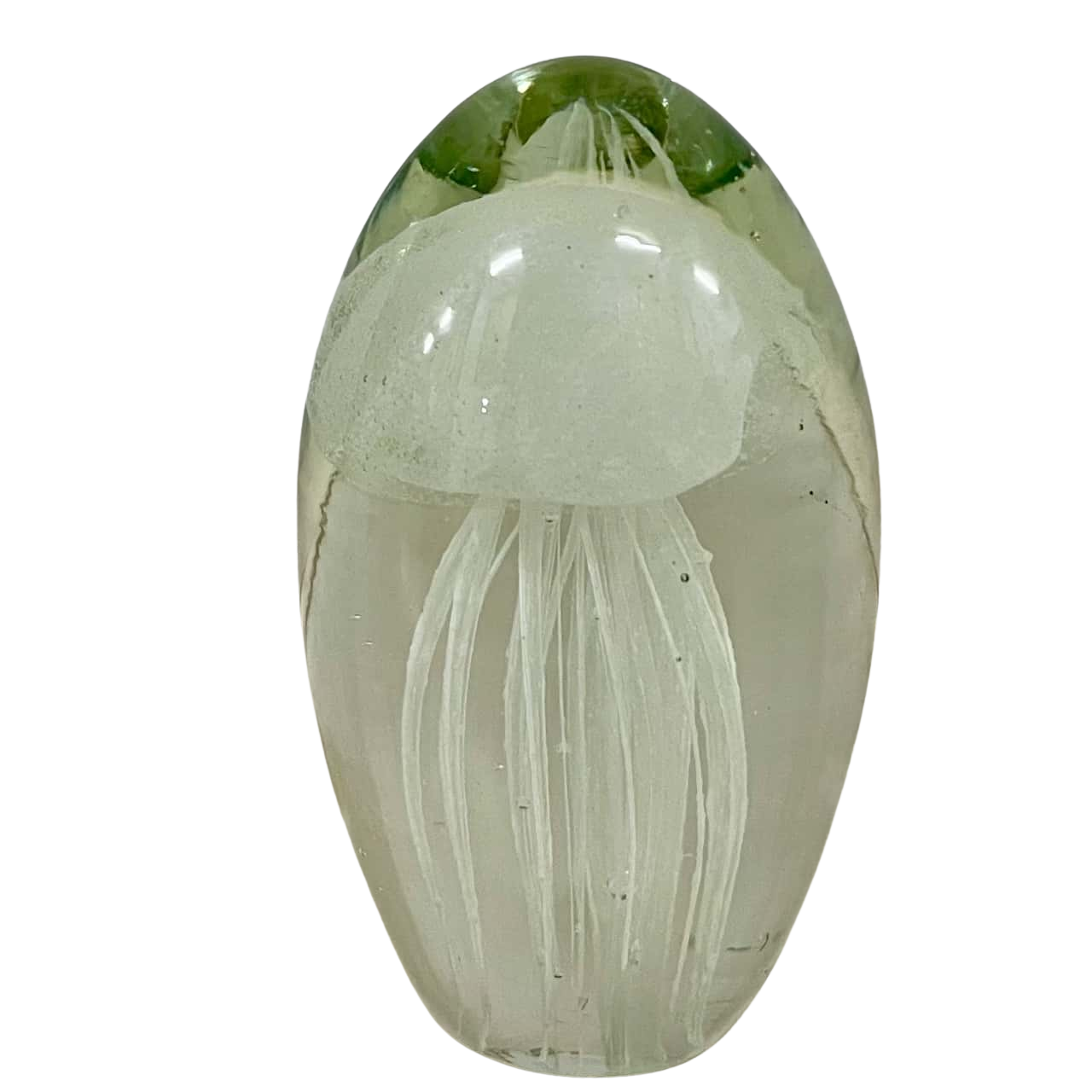 Jellyfish in Glass Paperweight (s)