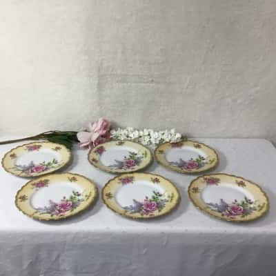 Set of 6 Vintage German Handpainted Rose Pattern Porcelain Plates  