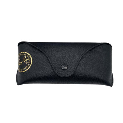 Ray-Ban Wayfarer Polarised 50-22