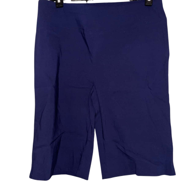 Liz Jordan Women's Size L Navy Blue Shorts