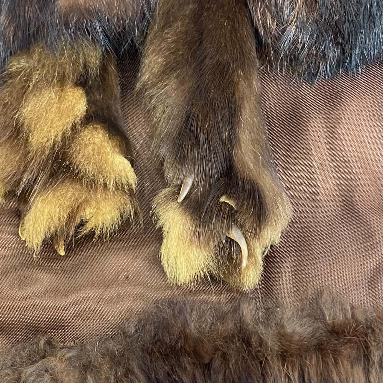 Vintage Fur Capelet(s)