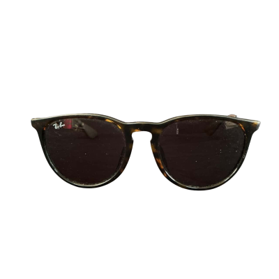 Ray-Ban Womens Erika RB4171 sunglasses