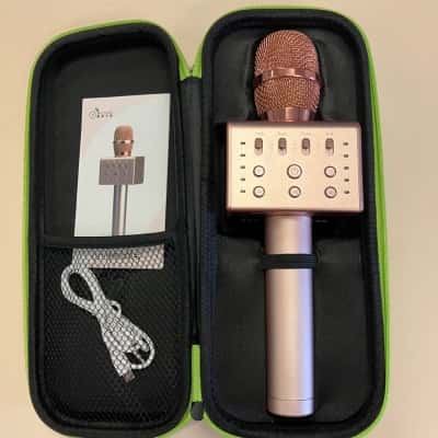 Portable Karaoke Microphone