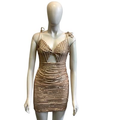 BNWT Saints + Secrets Women's Size 8 Sleeveless Sequined Mini Nude 