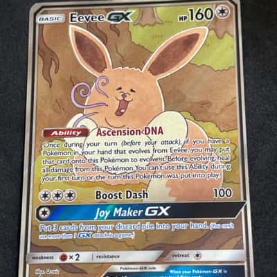 sp pokemon cards BLASTOISE & PIPLUP GX TAG TEAM FULL ART 214/236 (NM)  VDTX