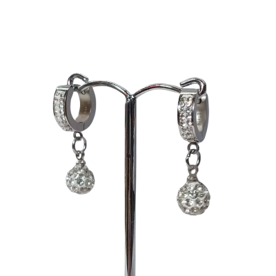  Women's Stainless Steel Earrings 