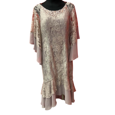 JJ's House Womens  Size 16 Oyster Pink lace and Chiffon Dress