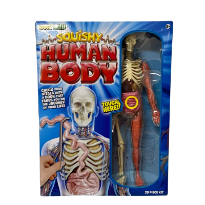 Smart Lab Squishy Human Body