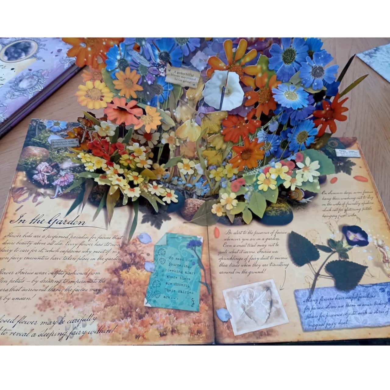 Flower Fairies How To Find Flower Fairies b19 s flower-fairies-how-to-find-flower-fairies-b19-s