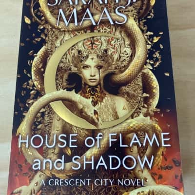 House of flame and shadow 