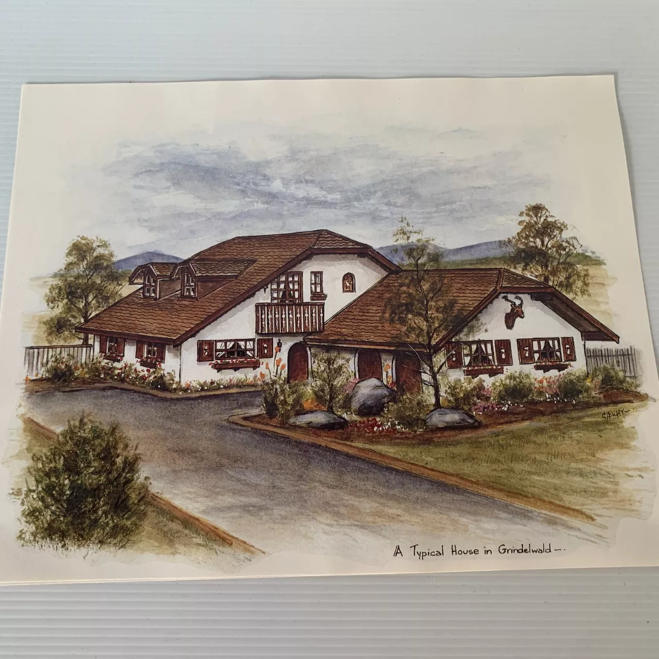 Image Tester