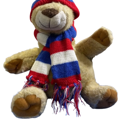 Vintage AFL Western Bulldogs Teddy Beat