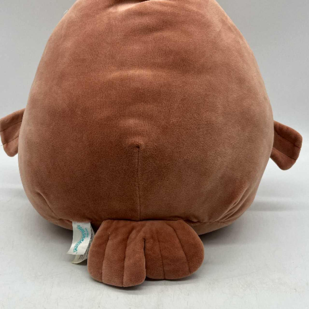 Large Follow Your Dreams Seal Squishmallow