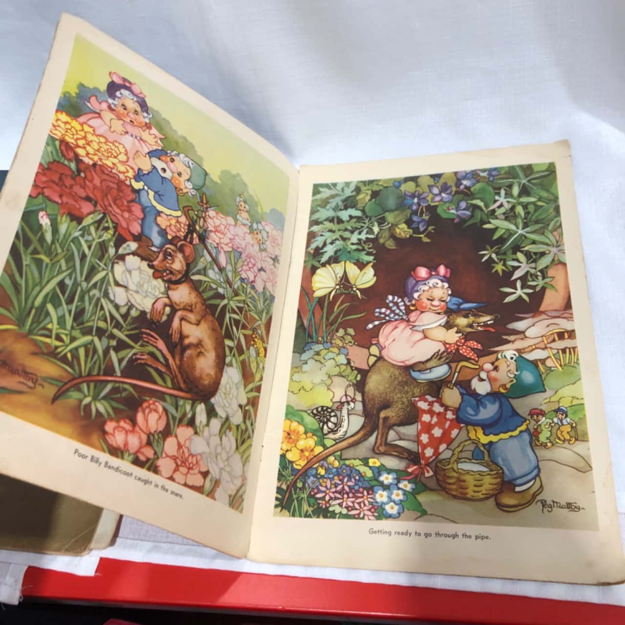 Image Tester