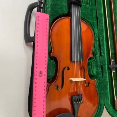 Haze violin in case