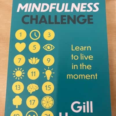21 day mindfulness challenge 