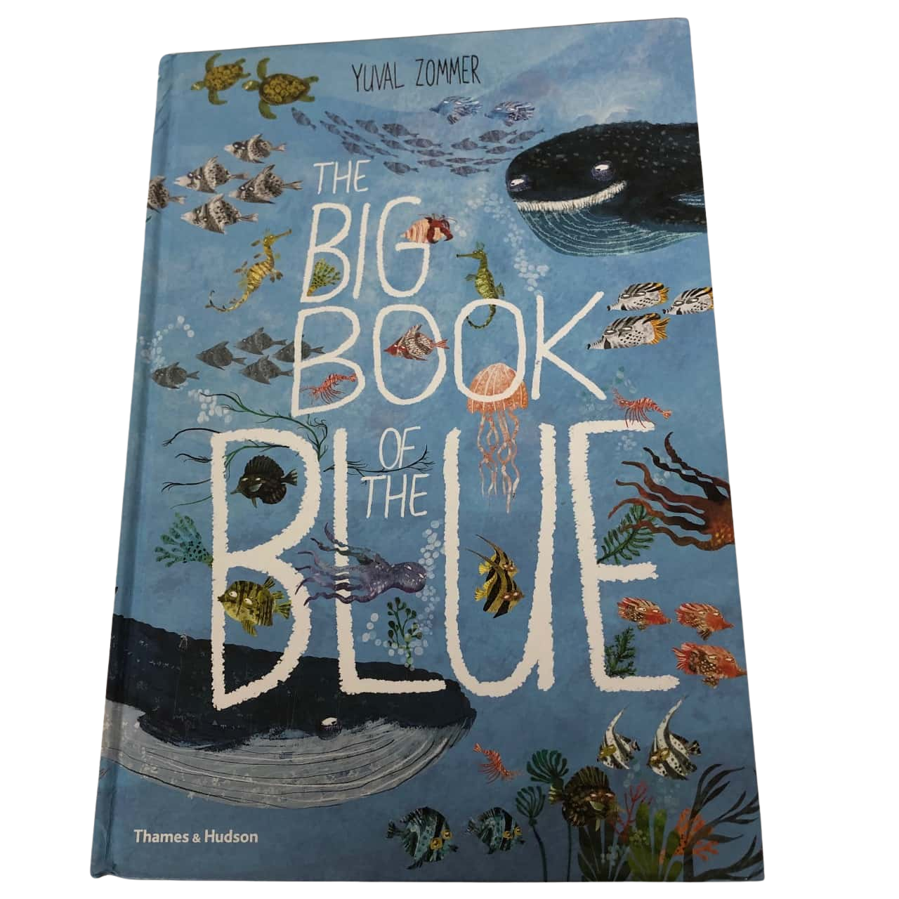 The Big Book Of The Blue Yuval Zommer s 