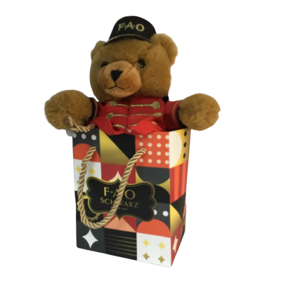 FAO Schwarz Bear in Bag