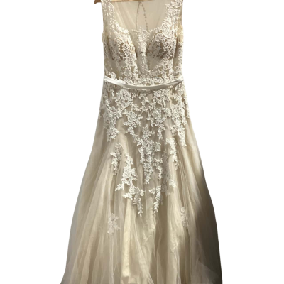 Raffaele Ciuca Size 20 Ivory/Sheer Bridal Dress with Train and Long Ivory Veil 2x3 (see description and pics)