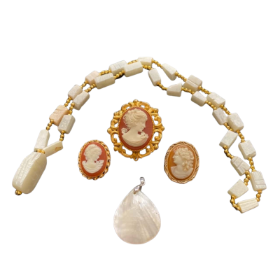 Jewellery Brooches/ necklace / pendant 