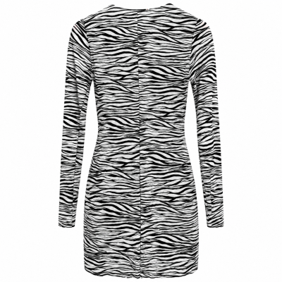 Zara Zebra Print Statement Dress – USA Size M