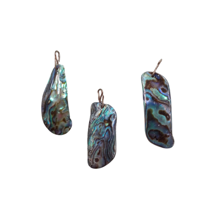  Set of 3 Women's Paua Shell Pendants