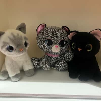 Set of 3 Cat Plushies