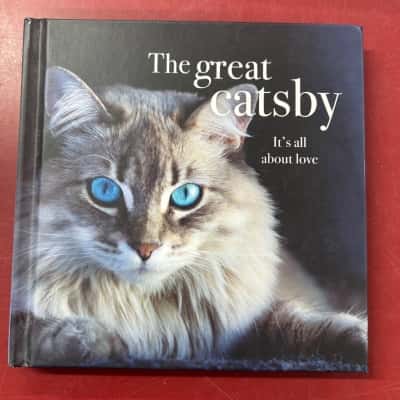 The Great Catsby, It's all about love 