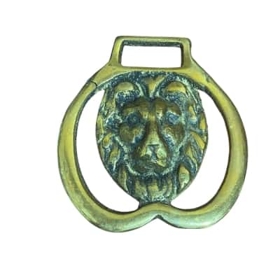 Vintage Horse brass Lions head 