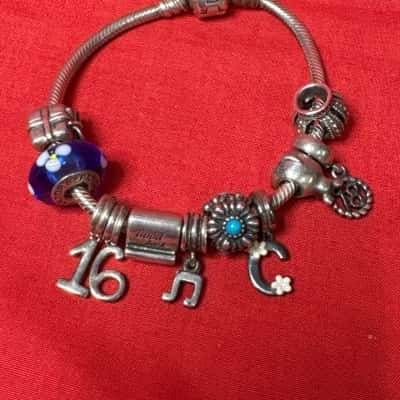 Pandora Women's Charm Bracelet with 11 Charms
