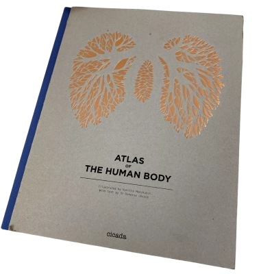 Atlas of the Human Body Illustrated by kanitta Meechubot with Text by Dr Vanessa Jessop