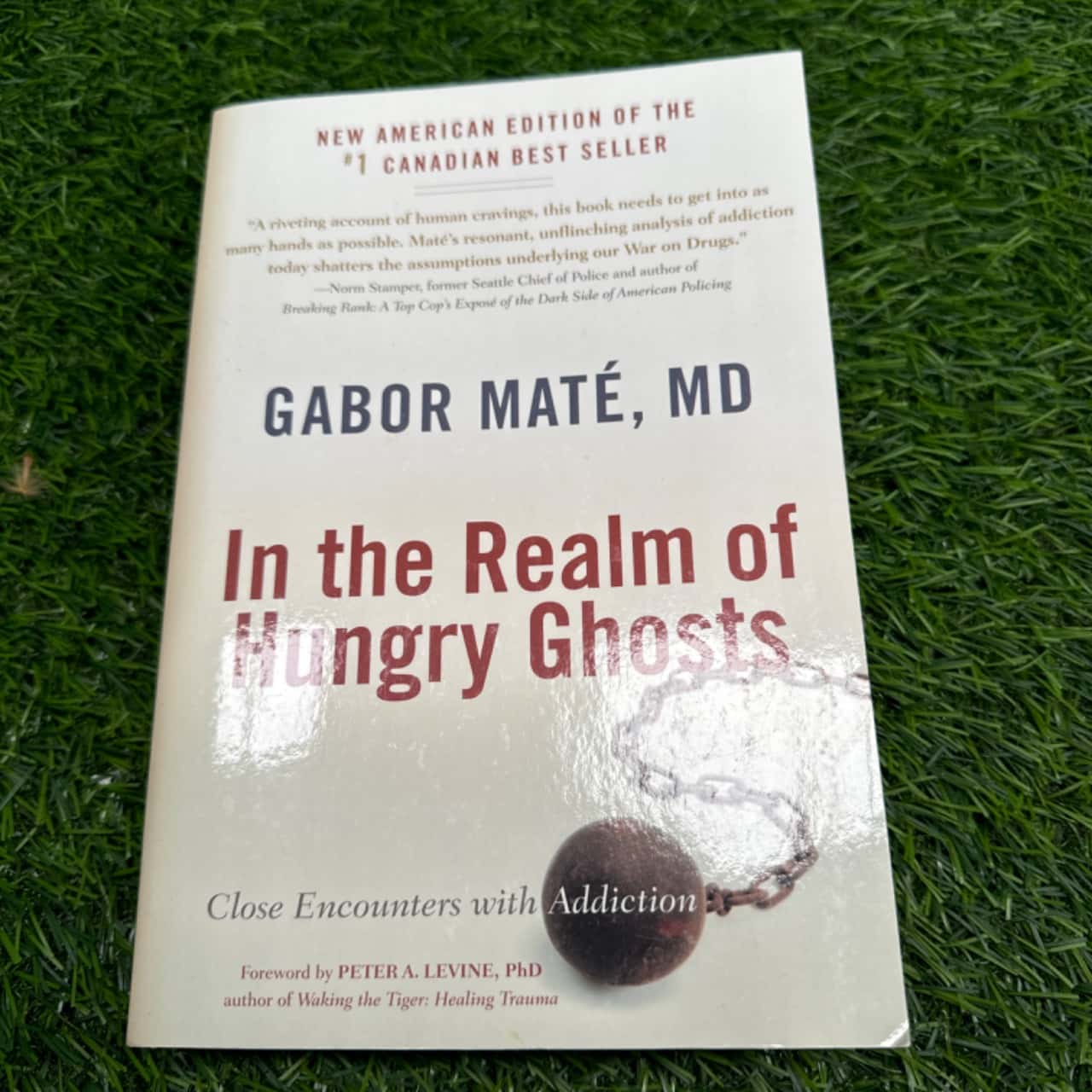 In the realm of hungry ghosts (s)