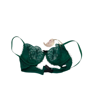 BNWT Bras N Things Womens Size 10D Green Underwire Bra RRP $79.99 HTH Tops