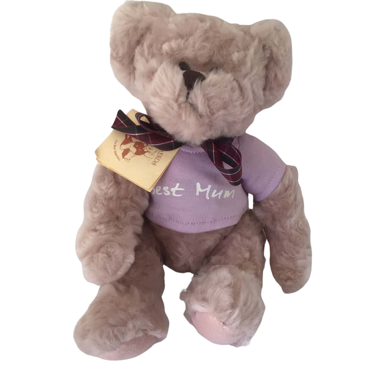 Cute Teddy & Friends Plush Lilac "Best Mum' on Shirt... Mothers Day Gift