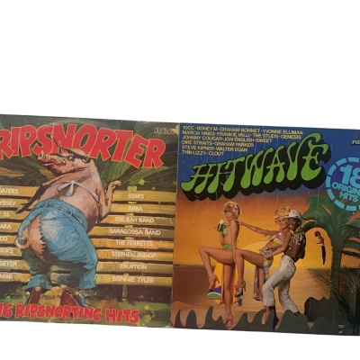 Ripsnorter and Hitwave Vinyl Record bundle