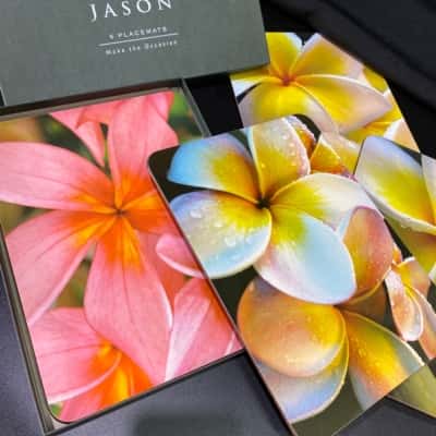 Jason brand, vintage set of 6 frangipani cork- baked placemats 