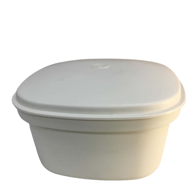 Tupperware Steamer 