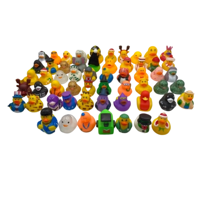 Quirky 57 Assorted Cruise Ship Ducks (Collect)
