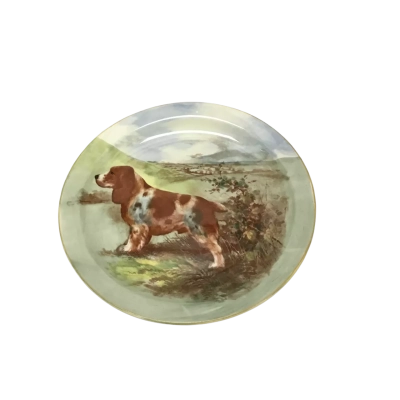 Vintage Royal Doulton Springer Setter Plate - Stamped & Hand Numbered