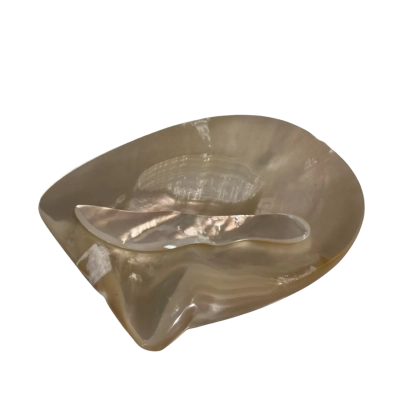 Antique Mother of Pearl Conch Shell Caviar Dish and Knife