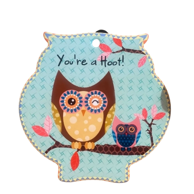 Owl trivet/ wall decor 