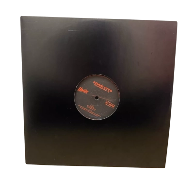 Vinyl record - Adam Pits - Element X