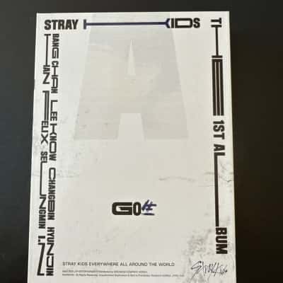 Stray Kids' first studio album, titled GO生 (or Go Live), in the standard edition.The first studio album by the K-pop group Stray Kids,released on June 17, 2020(B15)