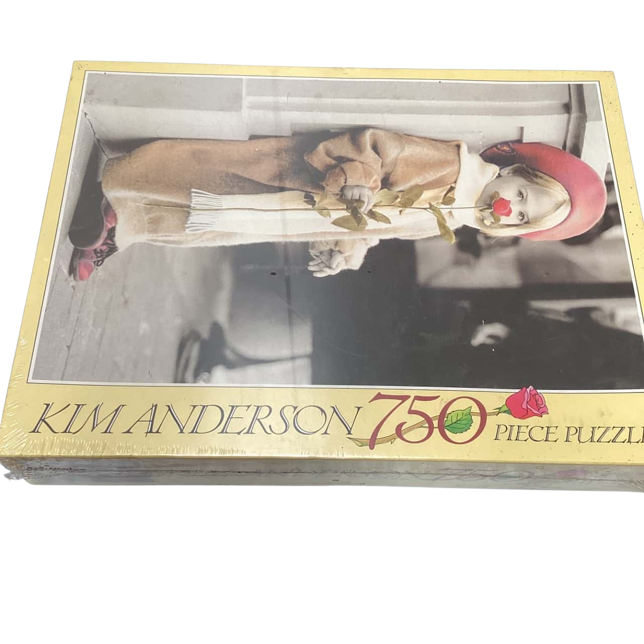 Kim Anderson 750pc puzzle (s)