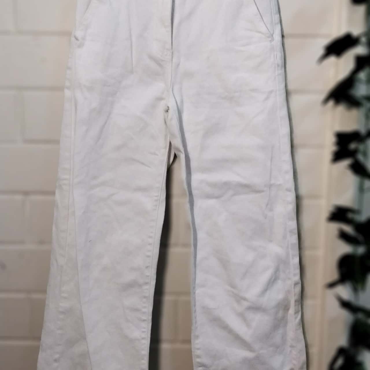 Sportsgirl Womens Size 6 White Pants(s)